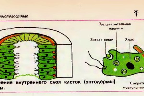 Переход на кракен