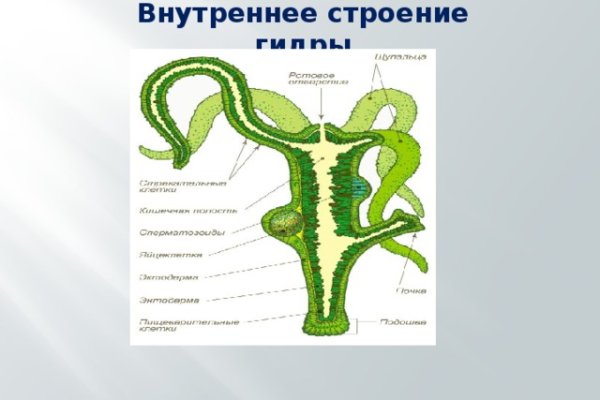 Кракен через тор