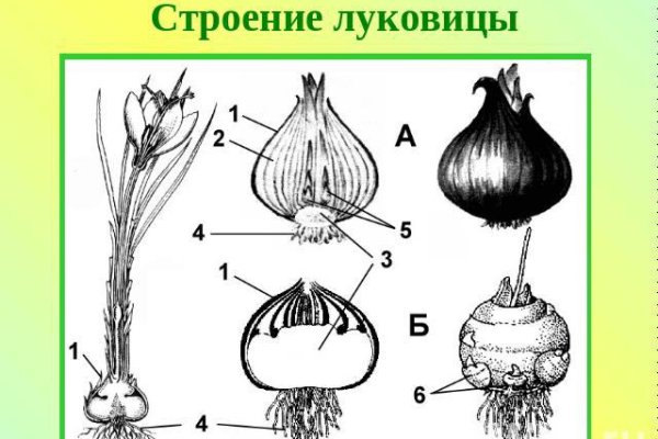 Мега кракен блэк спрут